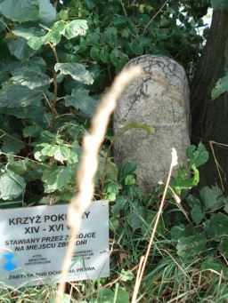 Uszkodzony